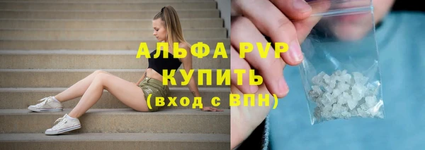 дмт Белокуриха