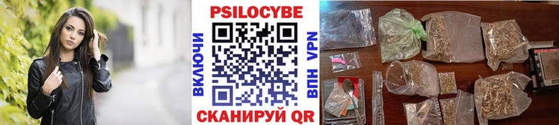 Галлюциногенные грибы Magic Shrooms  где купить наркотик  Дмитриев 
